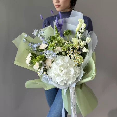 Kimp The coolness of a summer morning