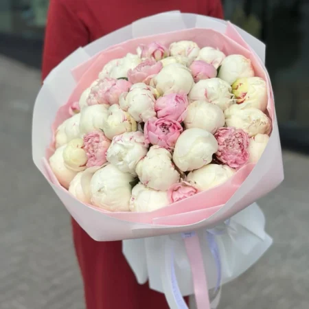 Пионы розовые и белые