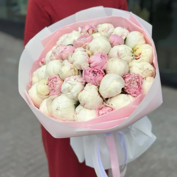 Peonies pink and white