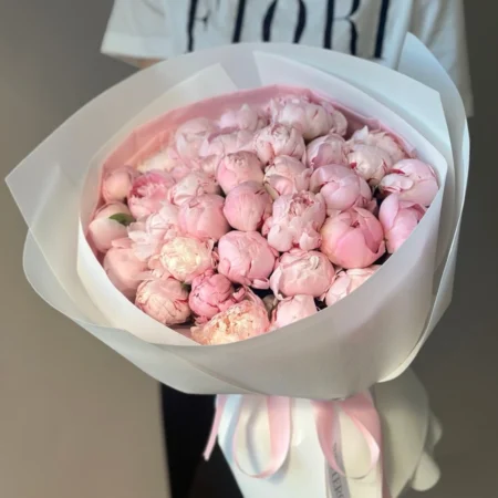 Пионы розовые