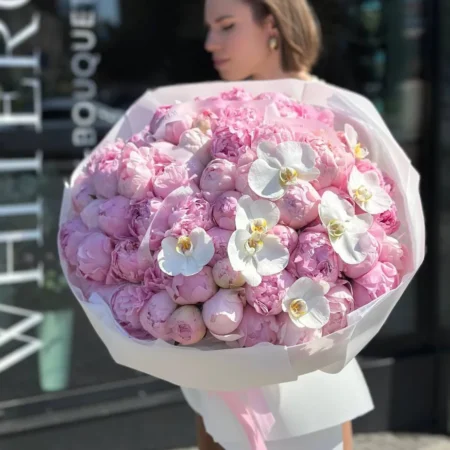 Kimp Poengid ja orhideede